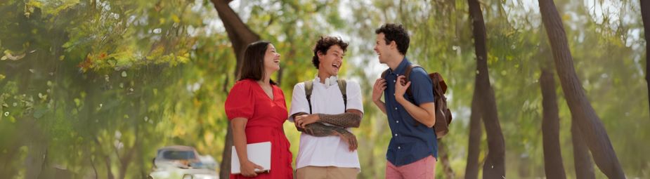Close-up of a medical professional reviewing diagnostic scans for facial fractures, highlighting symptoms and treatment options.