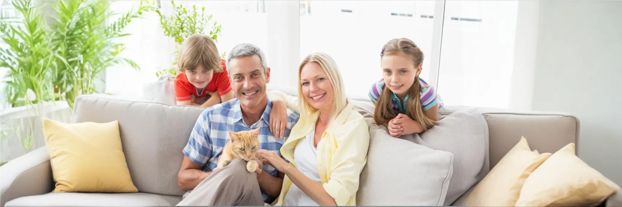 Ticagrelor tablets with dosage details, highlighting its use in reducing heart attack and stroke risks through platelet aggregation inhibition.
