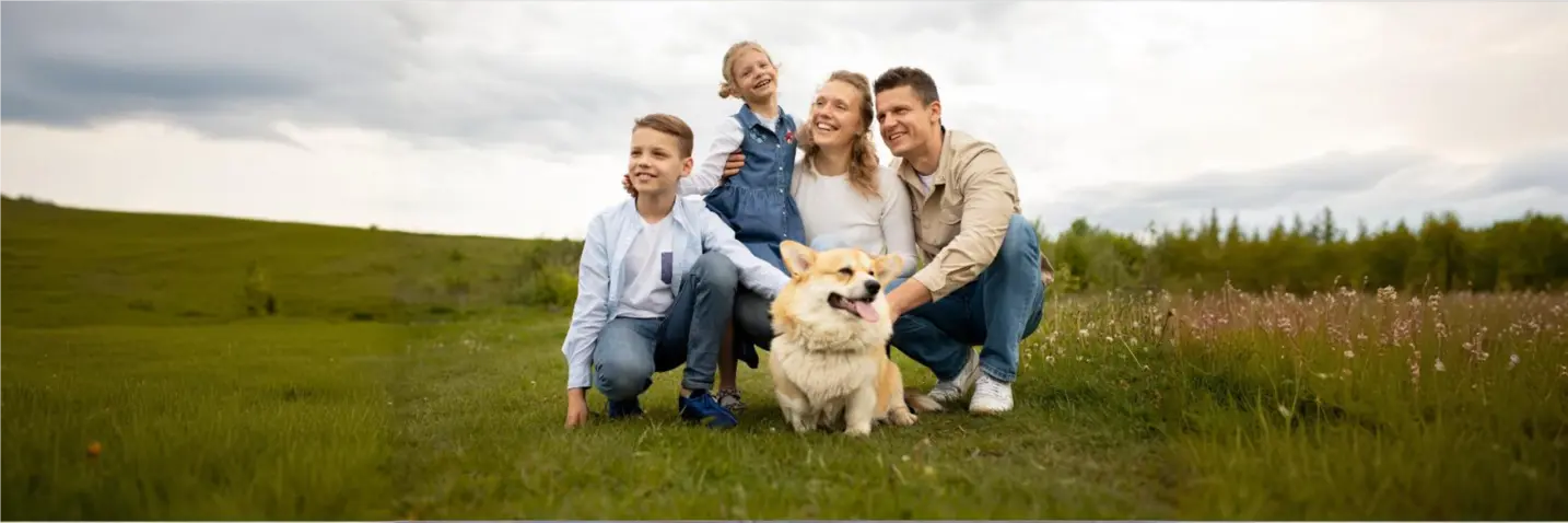 Illustration of immune system pathways highlighting complement deficiencies and related treatment options.