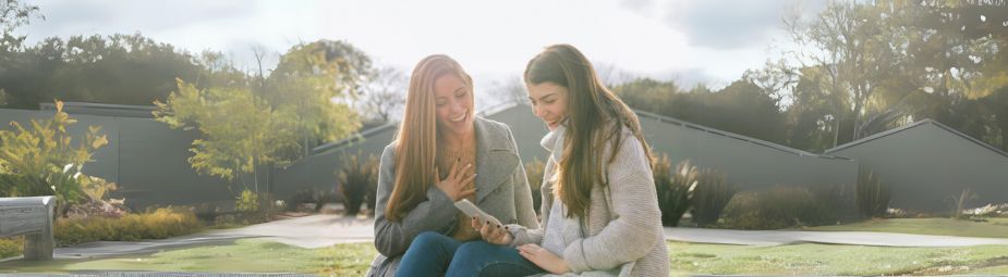 Medical illustration of gestational trophoblastic disease showing abnormal trophoblastic cell growth related to molar pregnancy.