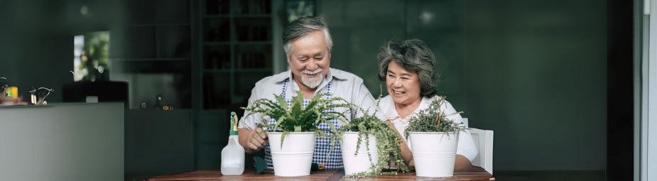Medical illustration showing splenic calcifications and their potential causes, symptoms, and treatment approaches.