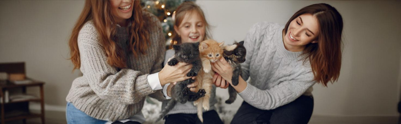 Blood test detecting Bartonella henselae antibodies for diagnosing cat scratch disease and Bartonella infections.