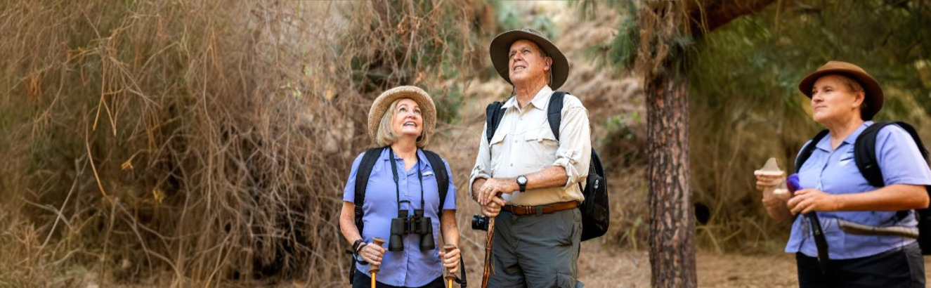 Close-up of a blood sample being tested for filarial infections using antigen detection methods.