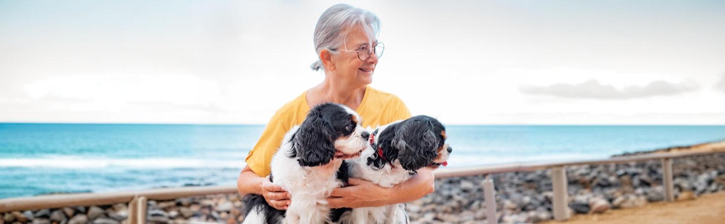 Surgeons performing laparoscopic ureteral repair using specialized instruments for minimally invasive ureteral surgery.