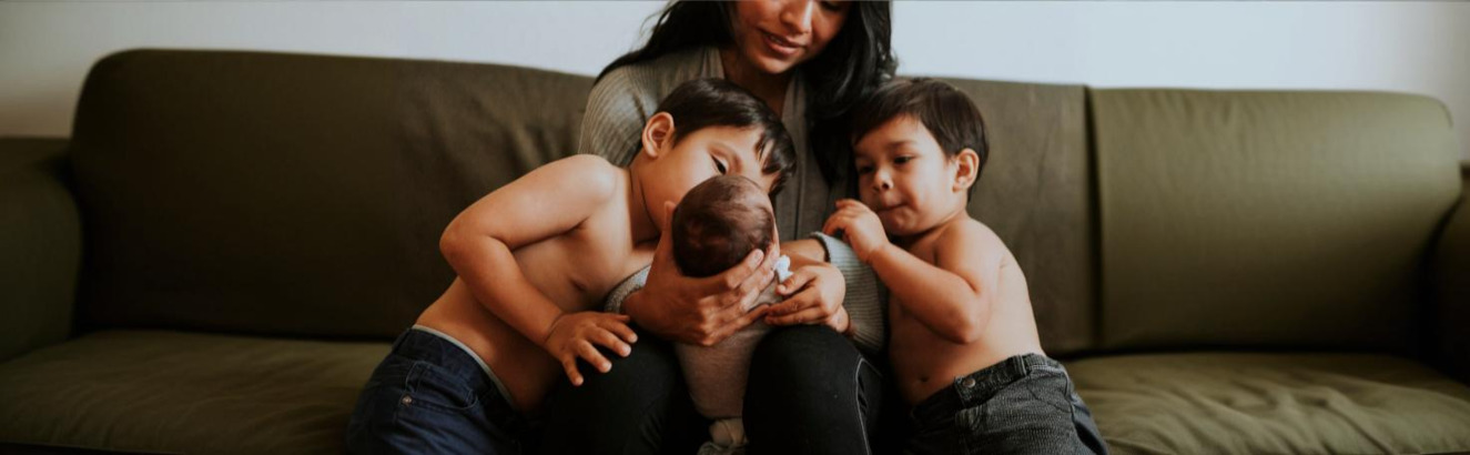 Close-up of a scientist analyzing a lymphocyte proliferation assay to assess immune system function.