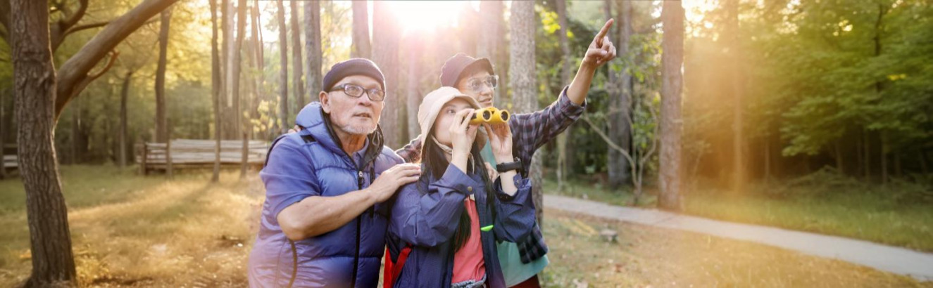 Blood test for *Wuchereria bancrofti* serology used to diagnose lymphatic filariasis through antibody and antigen detection.